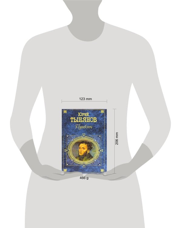Дополнительное изображение книги «Пушкин»