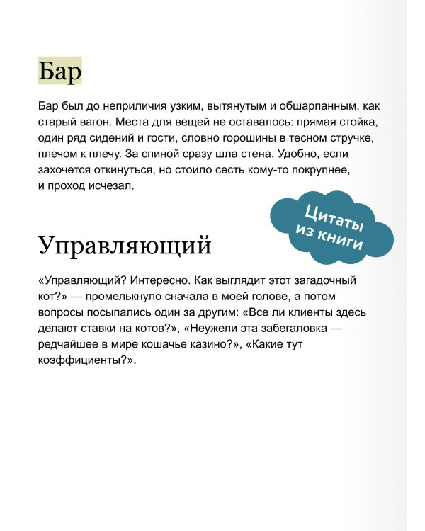 Коты Синдзюку