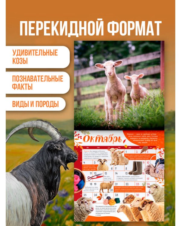 Дополнительное изображение книги «Календарь Символ года 2027»