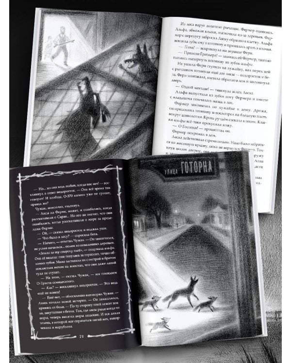 Страшные истории для маленьких лисят. Большой город