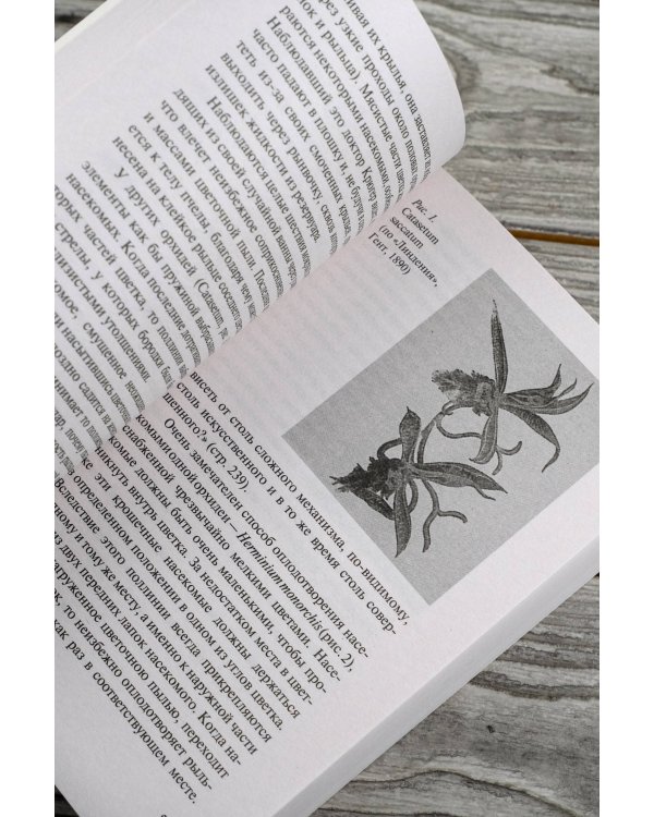 Этюды о природе человека