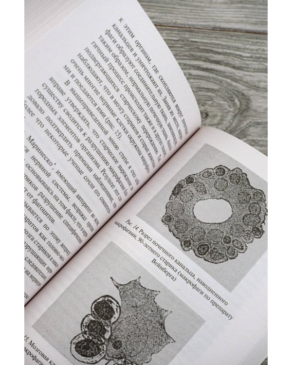 Этюды о природе человека