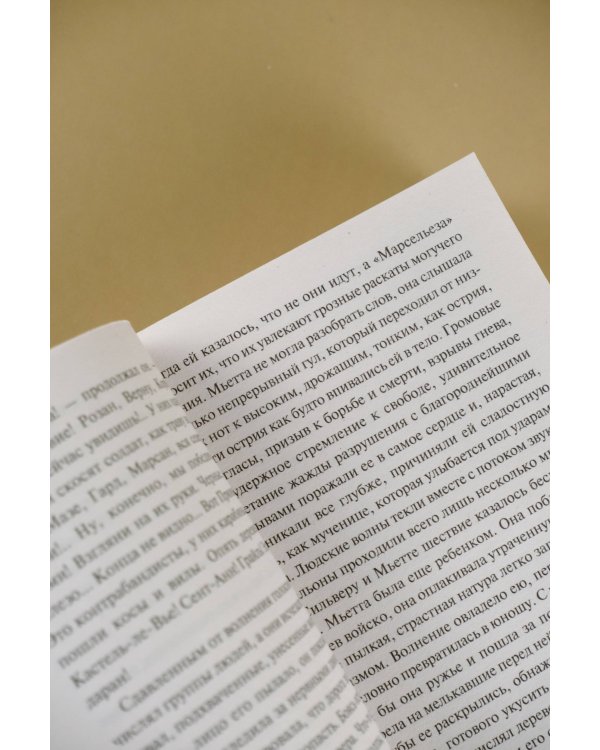 Карьера Ругонов