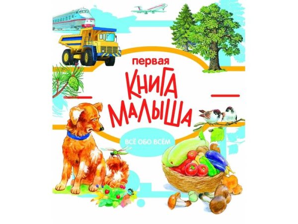 Энциклопедия малыша. Первая книга малыша