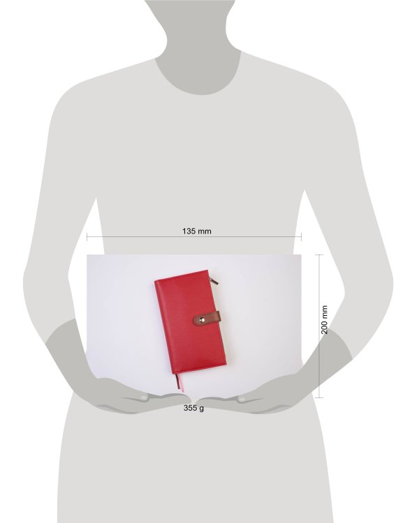 Ежедневник-органайзер (красный) (искусств. кожа, обложка на заклепке, сменный внутренний блок, отделение под карты и ручку)