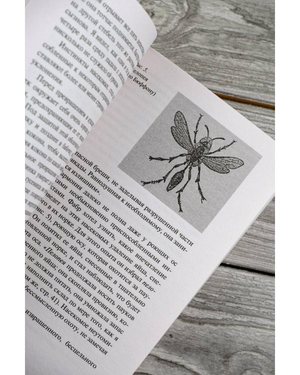 Этюды о природе человека