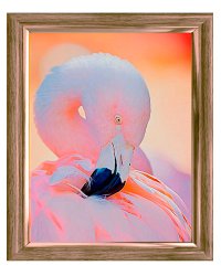 Алмаз. мозаика (класс.) 30х40 см, с подр., с полн. заполн. (26цв.) ИЗЯЩНЫЙ ФЛАМИНГО. Арт. ST967