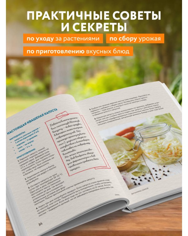 С грядки на стол. Как вырастить сезонные продукты и превратить их в кулинарные шедевры