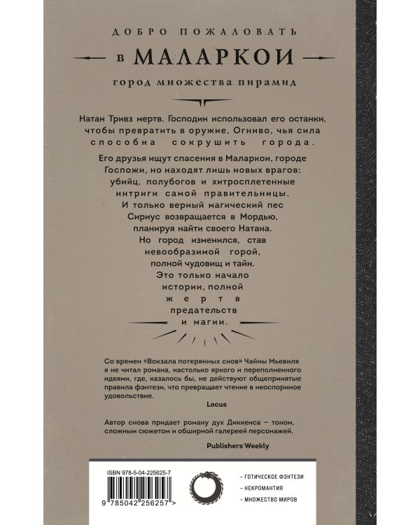 Комплект из 2-х книг (Город мертвого бога (Города холста #1) + Город Госпожи Забвения (Города холста #2))