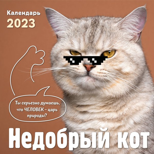 Календари настенные 2023 (300х300) Недобрый кот. Календарь настенный на 2023 год (300х300)