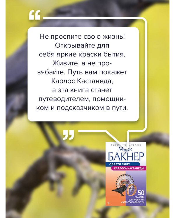 Обрети силу Карлоса Кастанеды. 50 практик для развития сверхспособностей