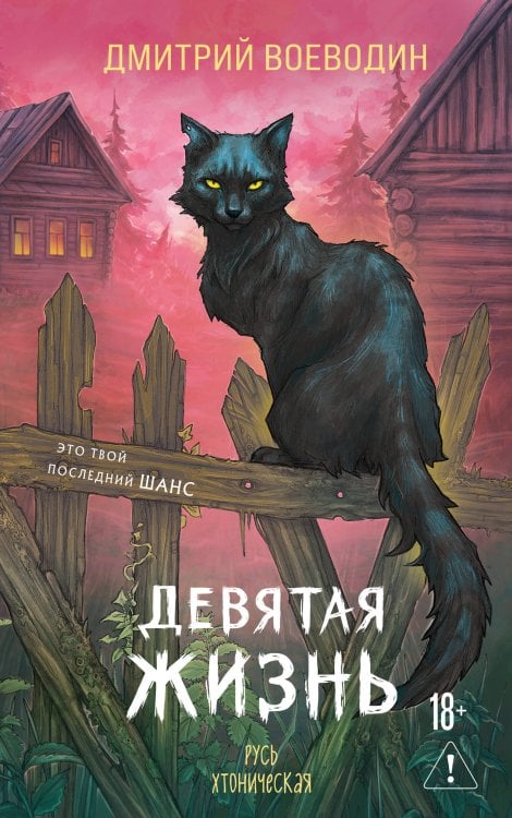 Обложка книги «Девятая жизнь» — Воеводин Дмитрий Владимирович, ISBN 9785042432354
