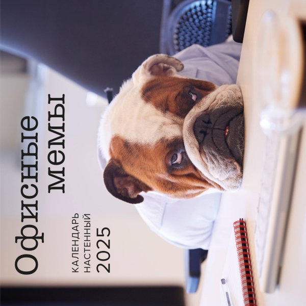Календари настенные 2025 (300х300) Офисные мемы. Календарь настенный на 2025 год (300х300 мм)