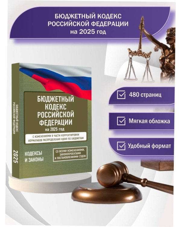 Бюджетный кодекс Российской Федерации на 2025 год. Со всеми изменениями, законопроектами и постановлениями судов