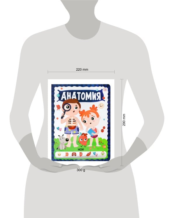 ЗнаникУМ. Анатомия