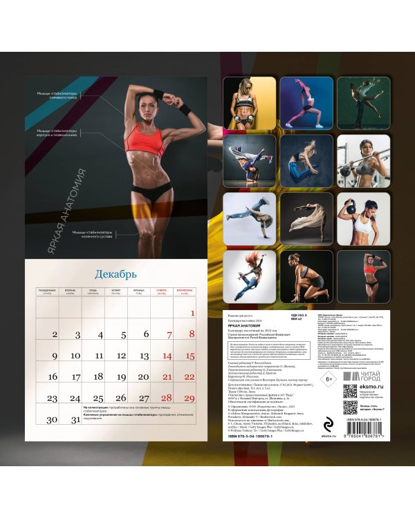 Яркая анатомия. Календарь настенный на 2024 год (300х300)
