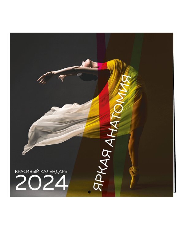 Яркая анатомия. Календарь настенный на 2024 год (300х300)
