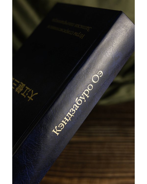 Игры современников. Записки пинчраннера