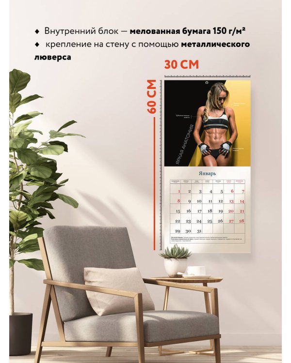 Яркая анатомия. Календарь настенный на 2024 год (300х300)