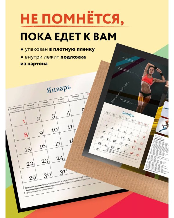 Яркая анатомия. Календарь настенный на 2024 год (300х300)