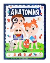 ЗнаникУМ. Анатомия