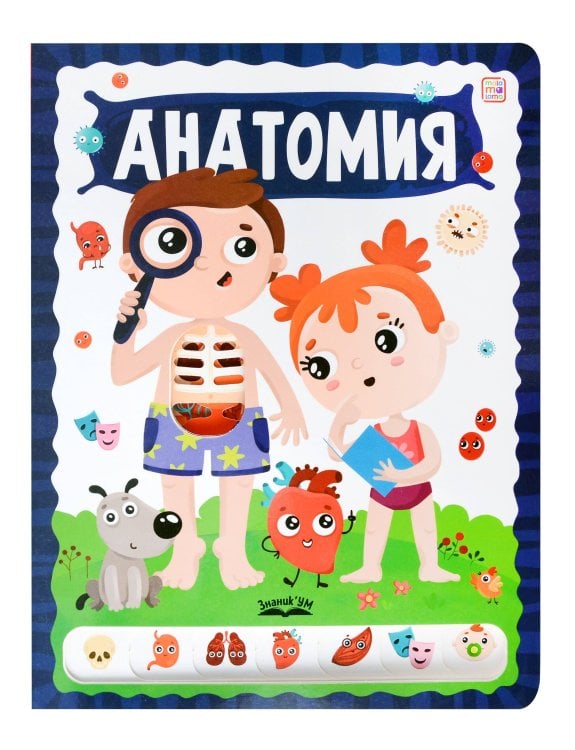 ЗнаникУМ. Анатомия