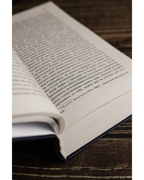 Игры современников. Записки пинчраннера