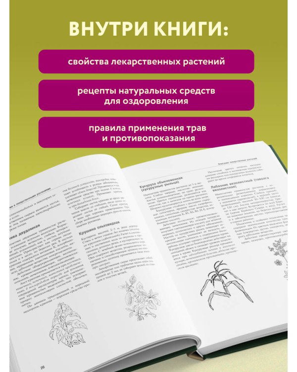 Дополнительное изображение книги «Энциклопедия народной медицины и натуропатии. Профилактика и лечение заболеваний народными средствами в домашних условиях»