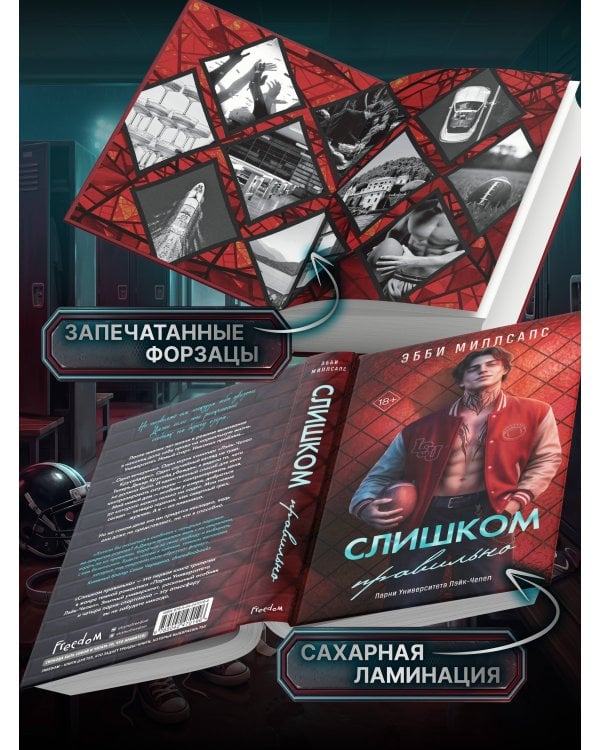 Дополнительное изображение книги «Слишком правильно (#1)»