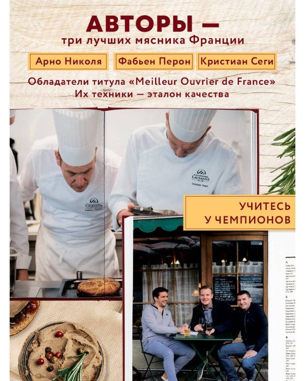 Большая книга мясных деликатесов