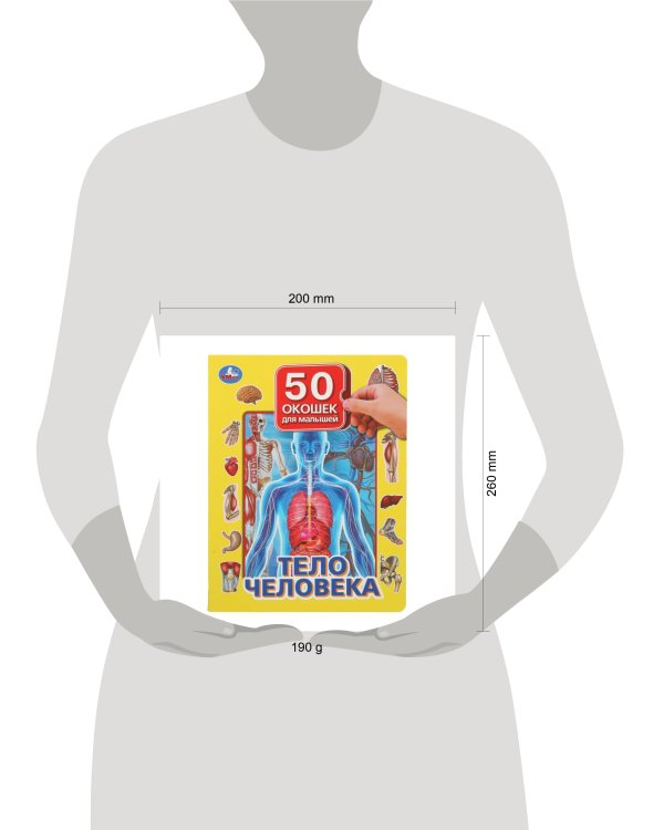 Дополнительное изображение книги «Тело человека. 50 окошек для малышей. 200х260 мм. 10 картонных страниц. Умка в кор.20шт»