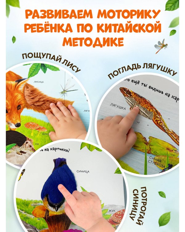 Дополнительное изображение книги «Лесные животные»