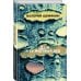 Книга-жизнь. Реальные романы Дэзи и ее мертвый дед