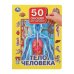 Обложка книги «Тело человека. 50 окошек для малышей. 200х260 мм. 10 картонных страниц. Умка в кор.20шт», ISBN 9785506099390