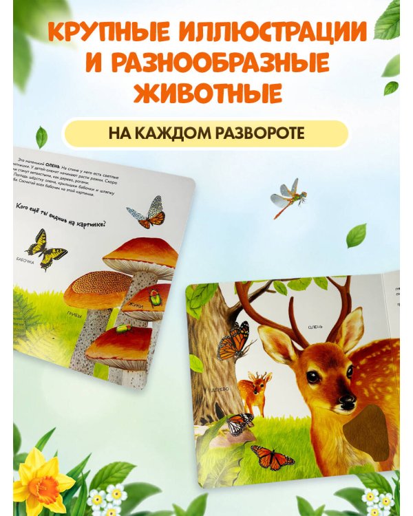 Дополнительное изображение книги «Лесные животные»