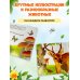 Дополнительное изображение книги «Лесные животные»