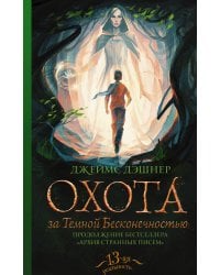 Охота за Темной Бесконечностью