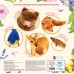 Дополнительное изображение книги «Лесные животные»