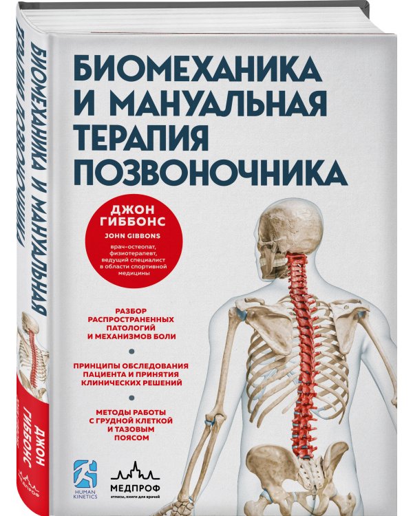Биомеханика и мануальная терапия позвоночника