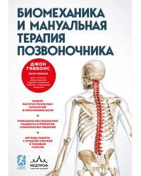 Биомеханика и мануальная терапия позвоночника