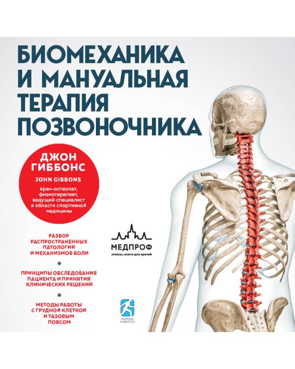 Биомеханика и мануальная терапия позвоночника