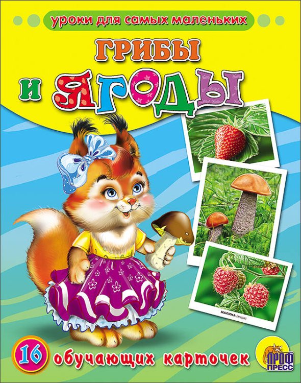 Обложка книги «Грибы и ягоды», ISBN 9785378056804