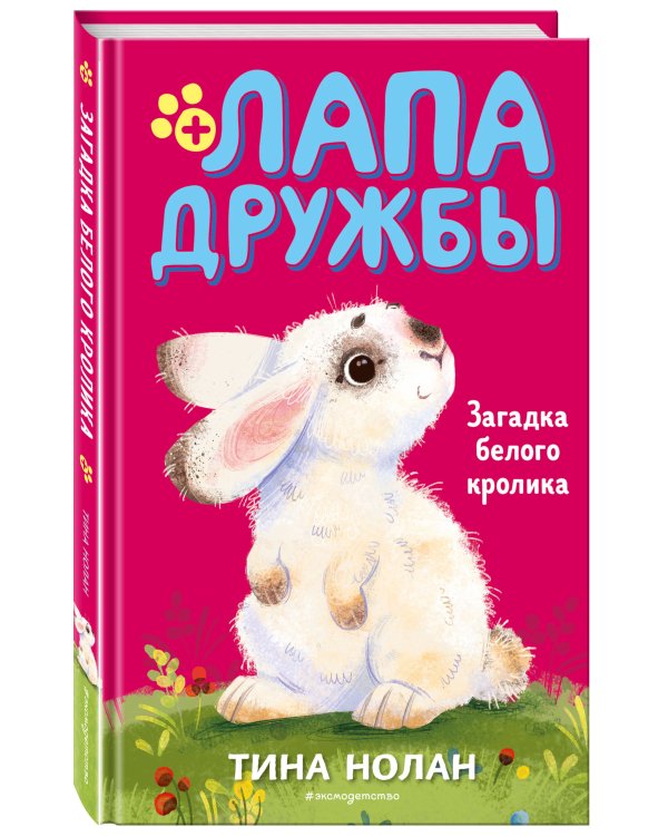 Загадка белого кролика (#5)