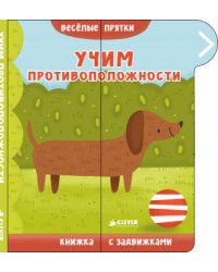 ВВИ. Вселые прятки. Учим противоположности