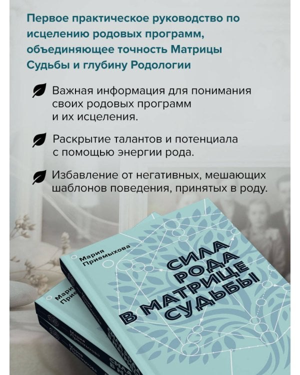 Сила Рода в Матрице судьбы. Как родовые связи влияют на нашу жизнь. Детальный разбор
