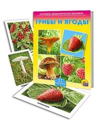 ДИД. ПОСОБИЕ. ГРИБЫ И ЯГОДЫ (Арт. ПД-7215)