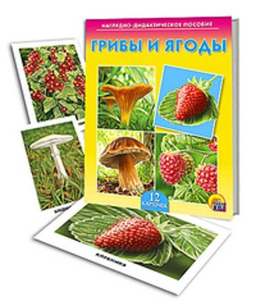 ДИД. ПОСОБИЕ. ГРИБЫ И ЯГОДЫ (Арт. ПД-7215)