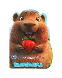 Малышка капибара. Раскраска. 210х285 мм. Скрепка. 16 стр. Умка в кор.50шт
