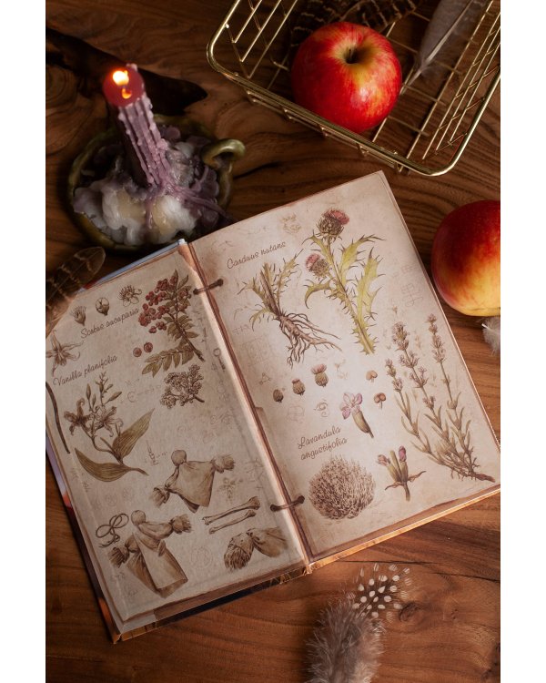 Из стали и соломы