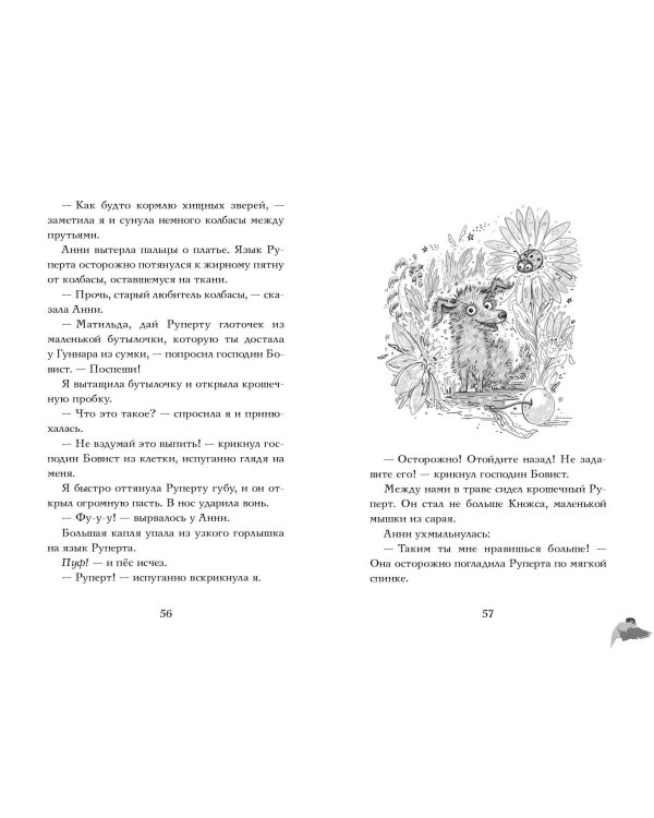 Ученицы волшебника